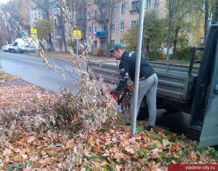 Во Владимире продолжаются осенние благоустроительные работы