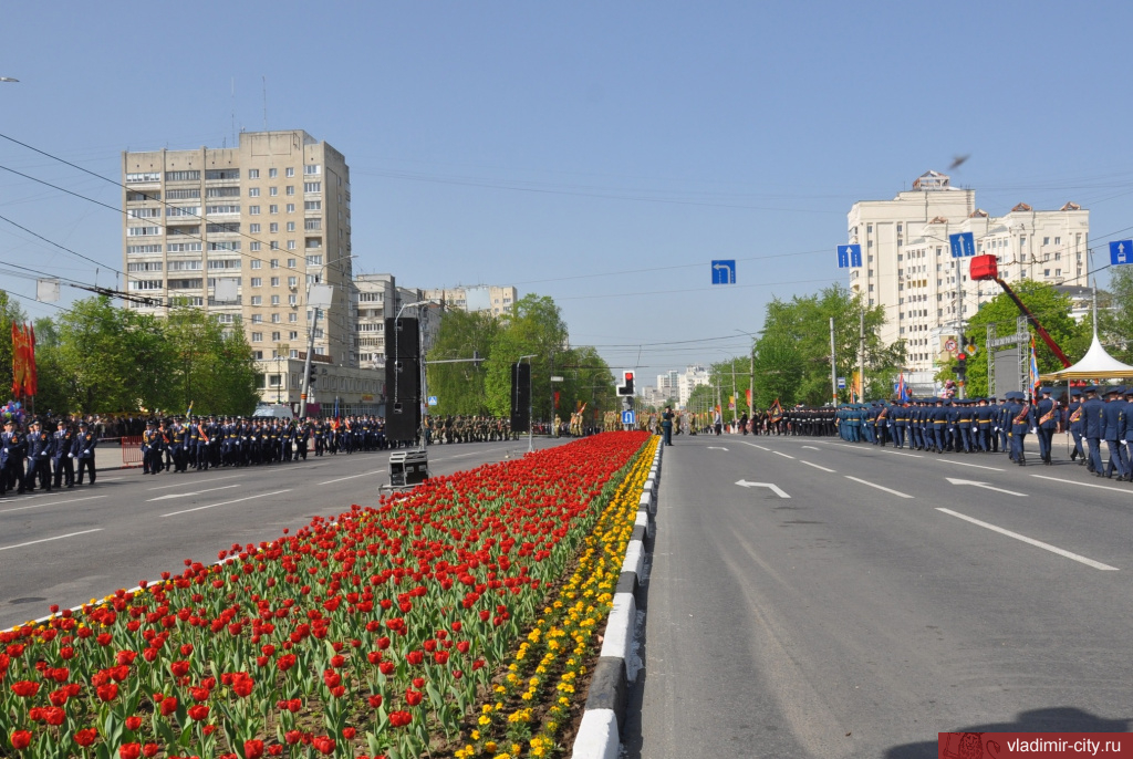 В начале мая на площади Победы во Владимире взойдут весенние тюльпаны