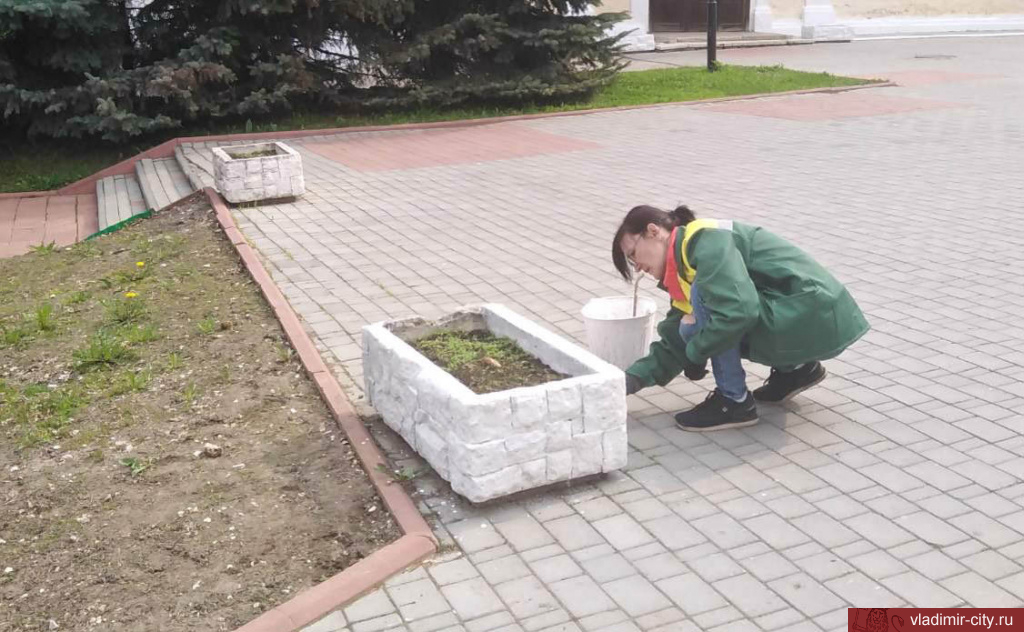 Продолжаются работы по озеленению города Владимира