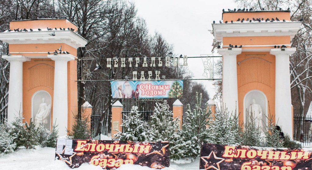 На этой неделе во Владимире открываются елочные базары