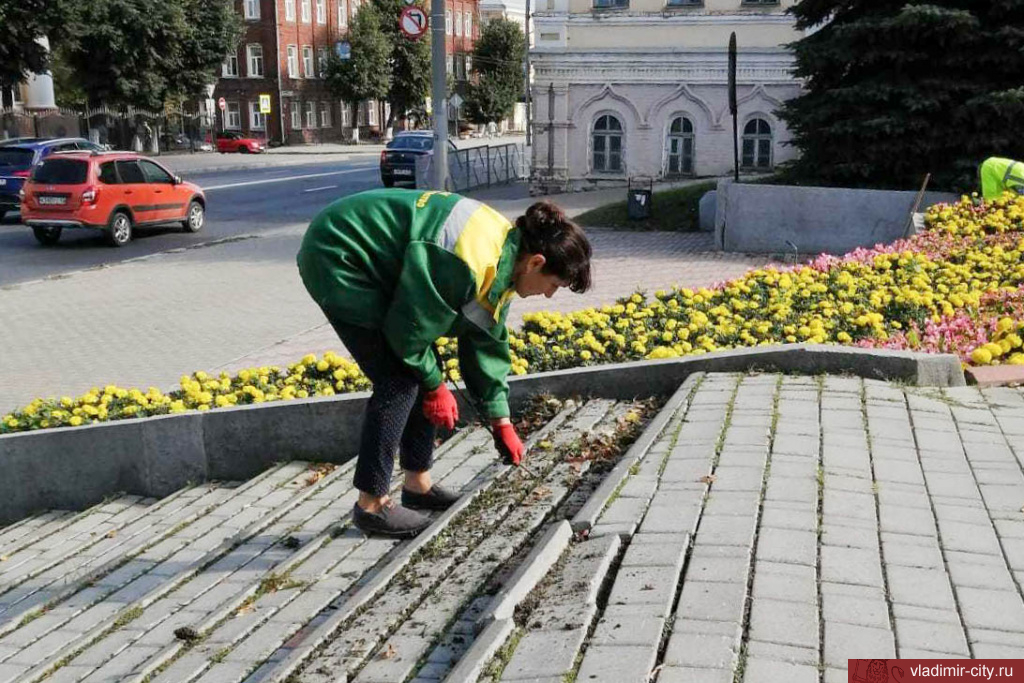 Благоустройство на общественных пространствах во Владимире проводится ежедневно