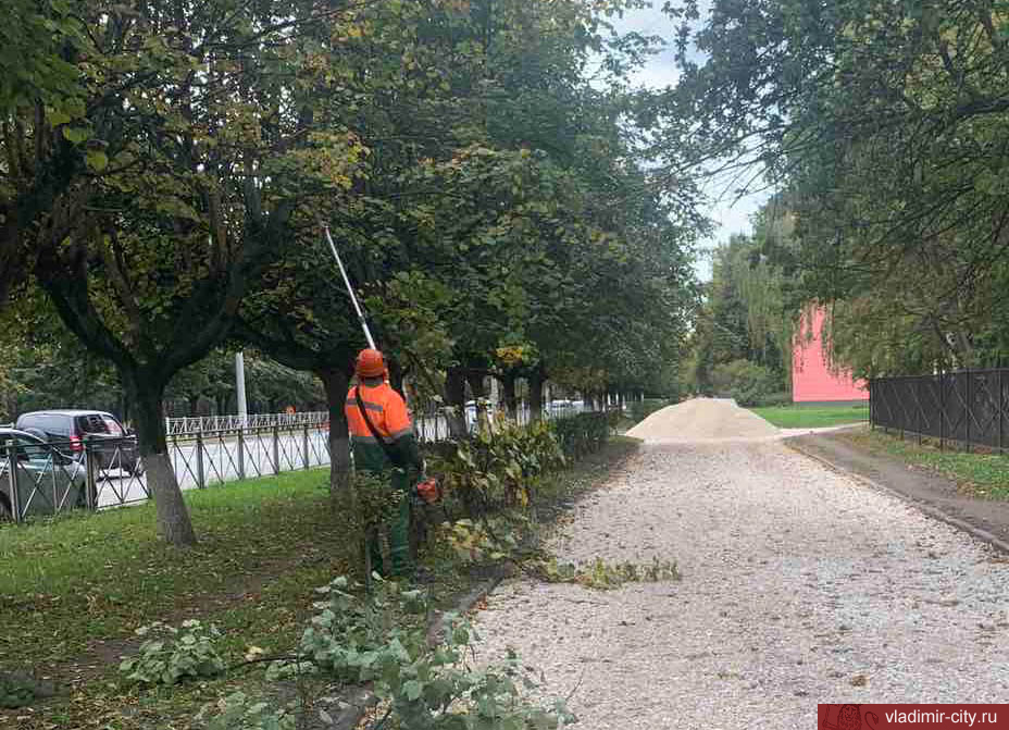 Во Владимире продолжается ежедневный уход за зелеными насаждениями