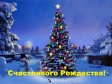 Праздничную программу во Владимире продолжат Рождественские гулянья