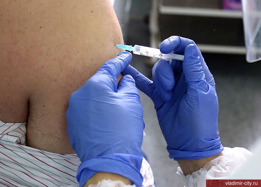 Число привившихся от коронавируса владимирцев превысило 67,5 тыс. человек