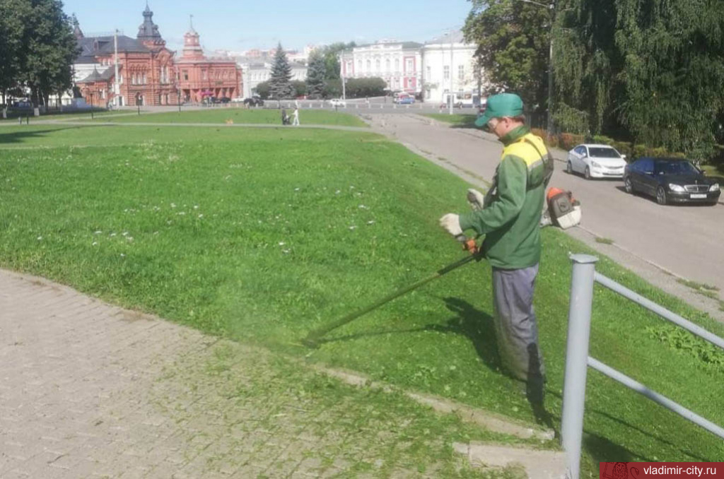 Благоустройство на общественных пространствах во Владимире проводится ежедневно