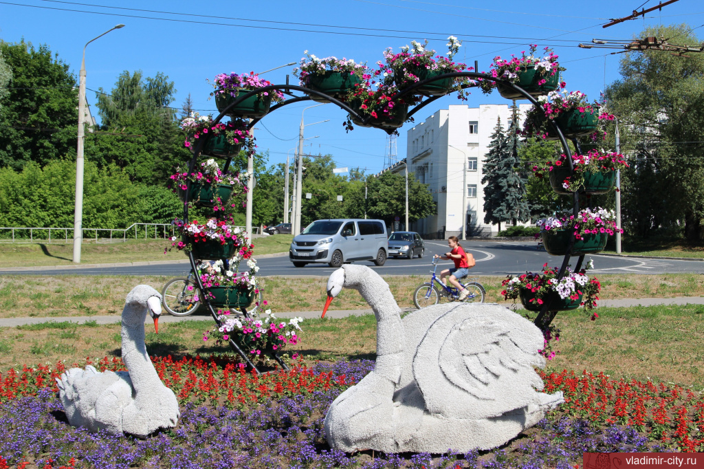 Город Владимир «в цвету»: жители благодарят муниципальных флористов 
