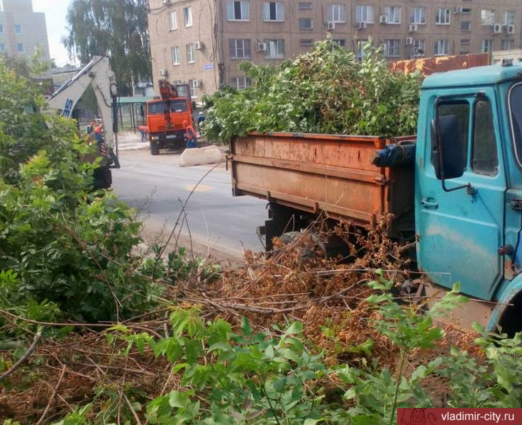 Во Владимире продолжаются работы по летнему благоустройству города