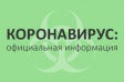 На сайте мэрии Владимира открыт раздел о профилактике коронавируса
