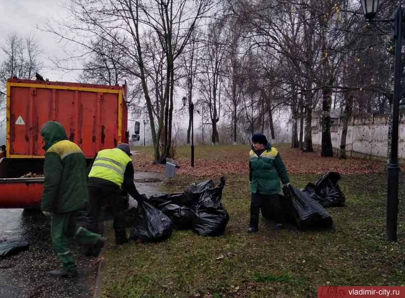 Во Владимире ежедневно ведутся работы по уходу за зелеными насаждениями
