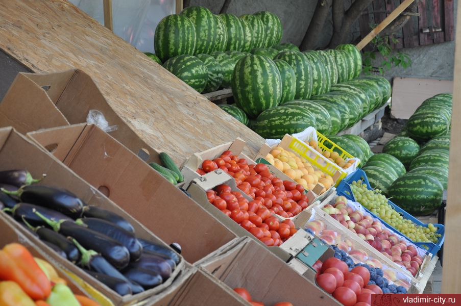 Во Владимире начинают работу сезонные ярмарки по торговле плодо-овощной продукцией