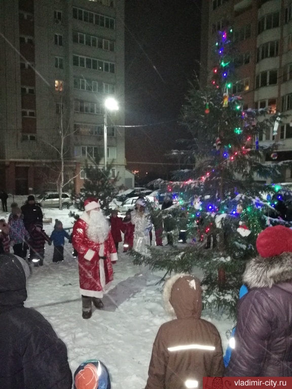 Новогодние елки во дворах Фрунзенского района