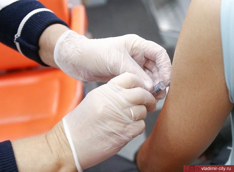 За время прививочной кампании во Владимир поступило 232477 доз вакцины от ковида
