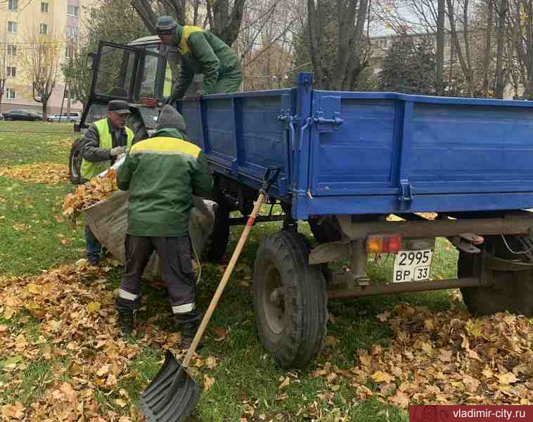 Во Владимире продолжаются осенние благоустроительные работы
