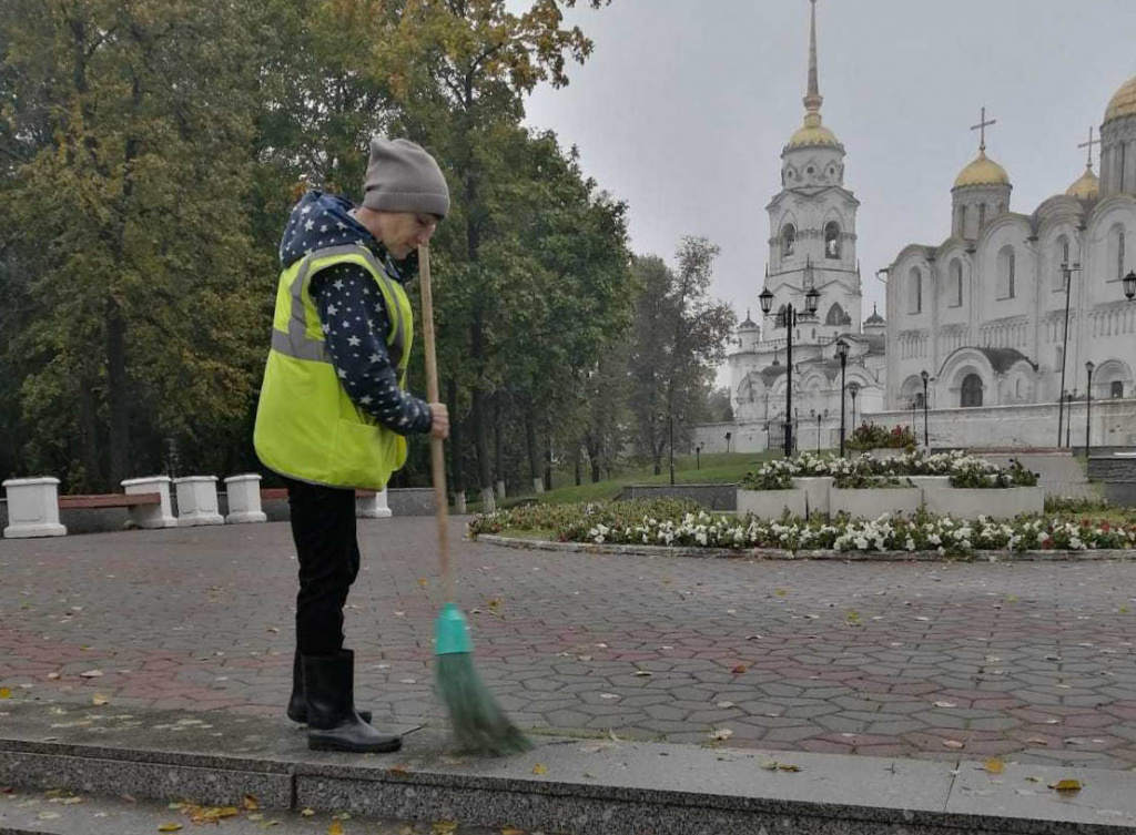 Во Владимире ежедневно удаляют аварийные и сухие деревья