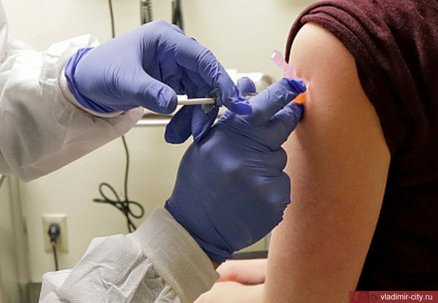 За время прививочной кампании во Владимир поступило более 163,3 тыс. доз вакцины против ковида
